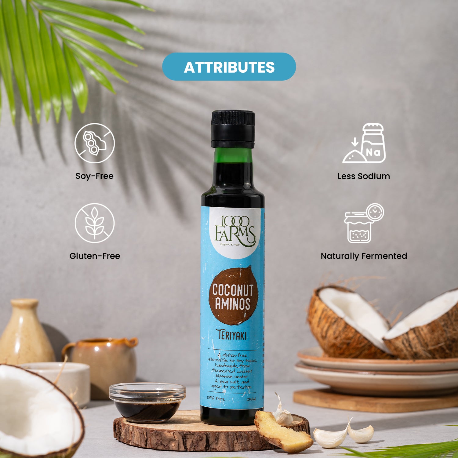 Coconut Aminos Teriyaki