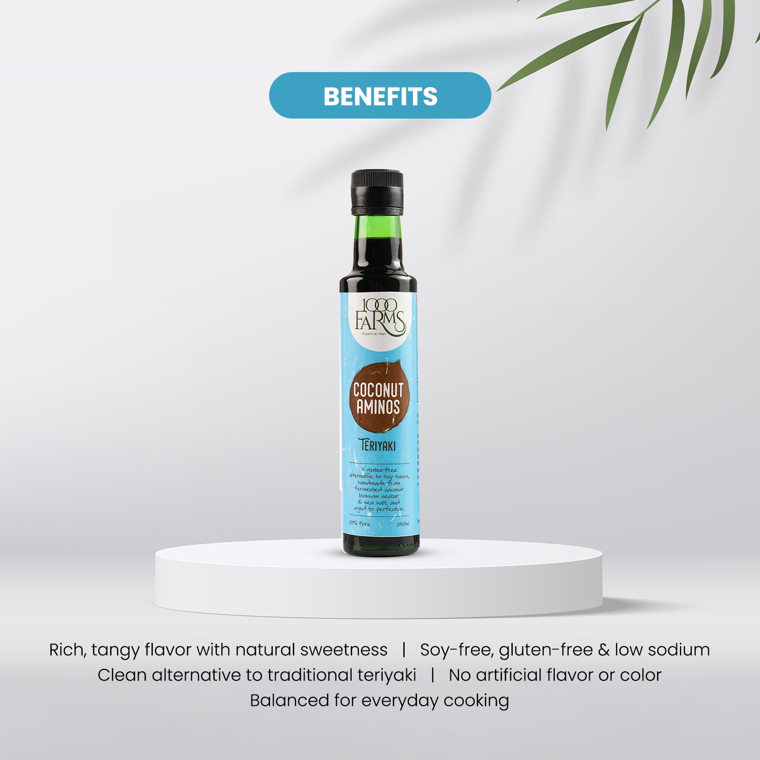 Coconut Aminos Teriyaki