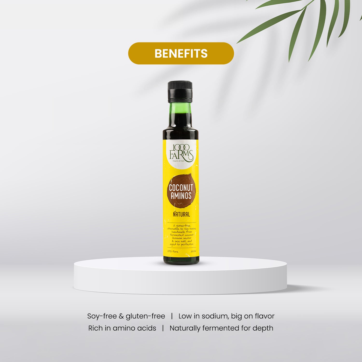 Coconut Aminos Natural