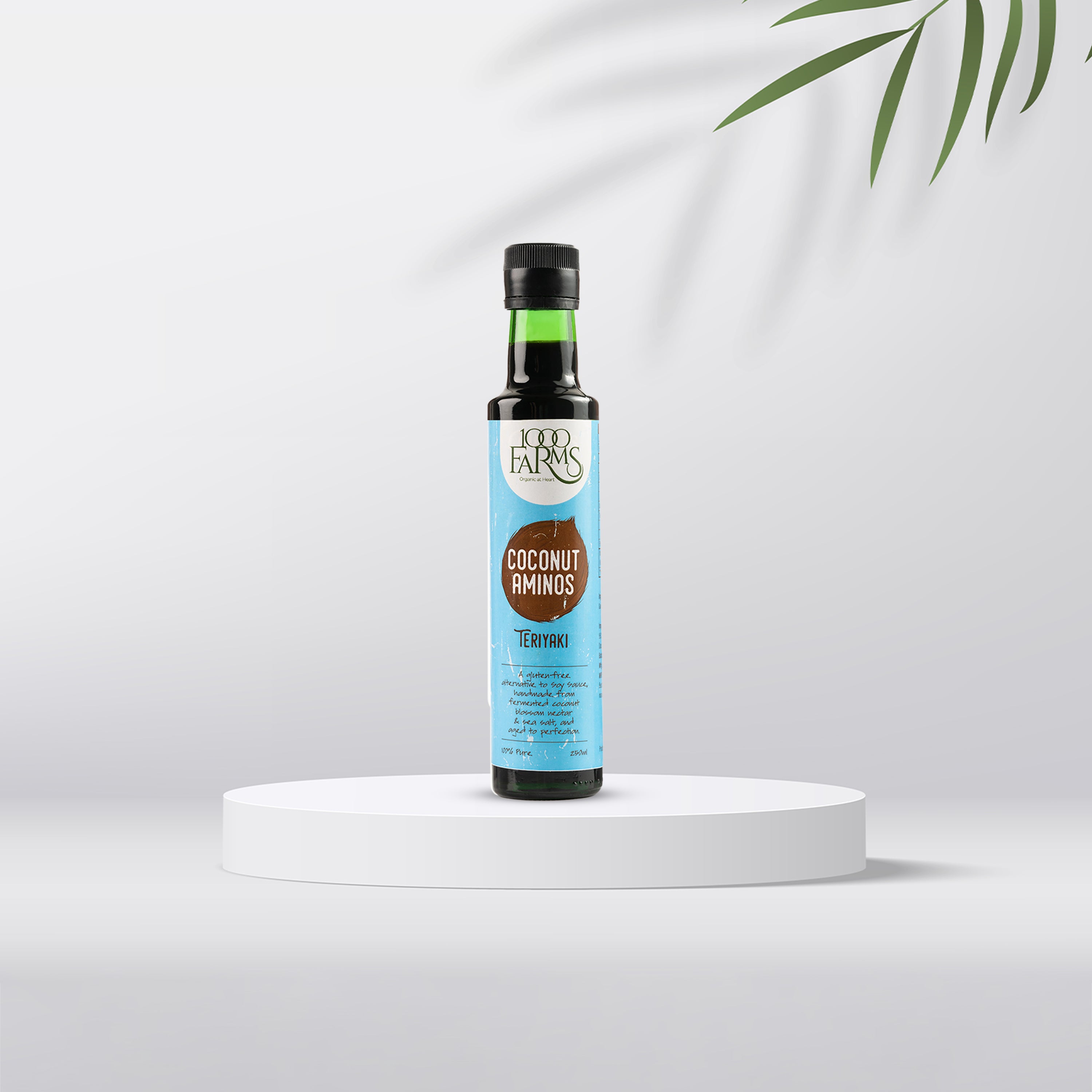 Coconut Aminos Teriyaki