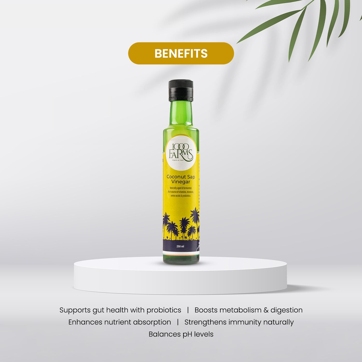 Coconut Sap Vinegar