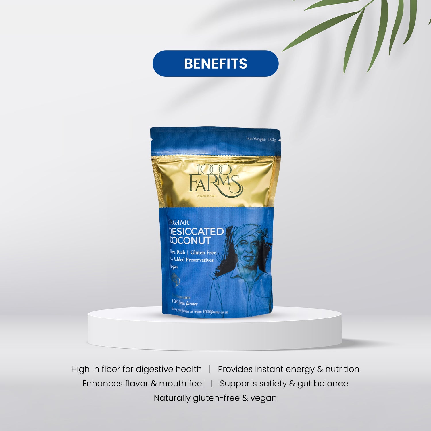 Organic Desiccated Coconut